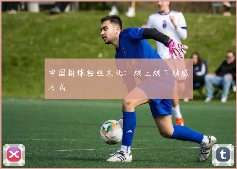 中国排球粉丝文化：线上线下助威方式