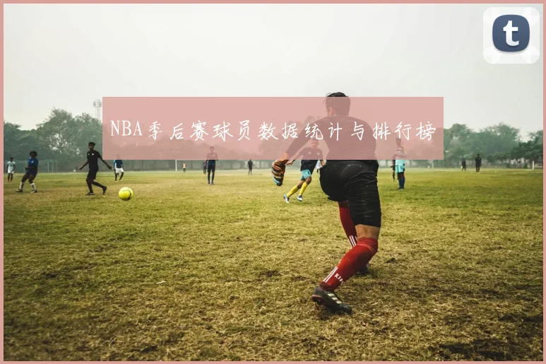 NBA季后赛球员数据统计与排行榜