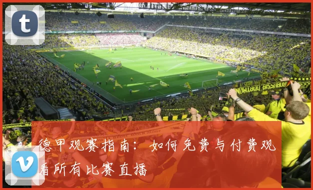 德甲观赛指南：如何免费与付费观看所有比赛直播