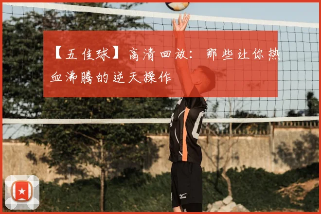 【五佳球】高清回放：那些让你热血沸腾的逆天操作